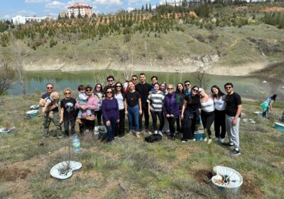 🌱 Sustainability in Action: Growing Together for a Greener Future